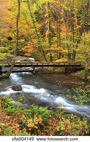 Stock Photo - Autumn colors, Aomori Prefecture, Japan. Fotosearch