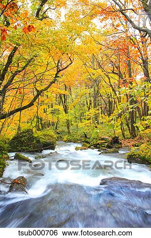 Autumn colors, Aomori Prefecture, Japan View Large Photo Image Stock Photograph - Autumn colors, Aomori Prefecture, Japan. Fotosearch