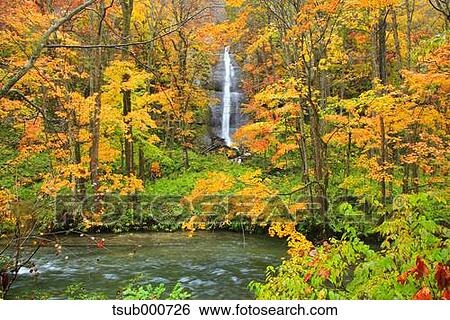 Stock Photograph - Autumn colors, Aomori Prefecture, Japan. Fotosearch