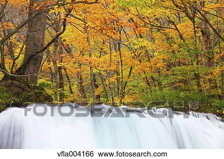 Stock Photograph - Autumn colors, Aomori Prefecture, Japan. Fotosearch