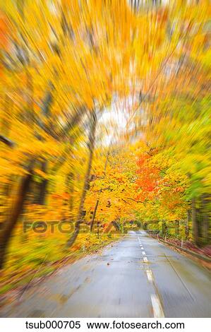 Stock Photography - Autumn colors, Aomori Prefecture, Japan. Fotosearch