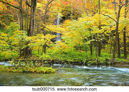 Stock Photography - Autumn colors, Aomori Prefecture, Japan. Fotosearch