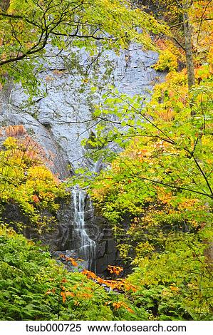Stock Photography - Autumn colors, Aomori Prefecture, Japan. Fotosearch