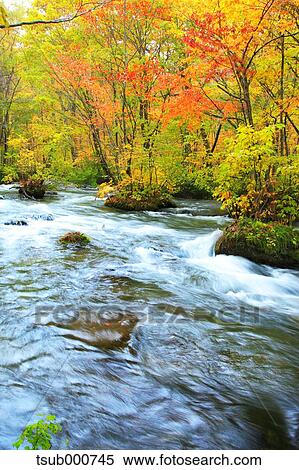 Stock Photography - Autumn colors, Aomori Prefecture, Japan. Fotosearch