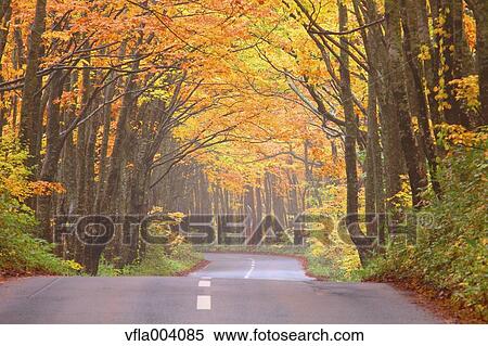 Autumn colors, Aomori Prefecture, Japan View Large Photo Image Stock Photography - Autumn colors, Aomori Prefecture, Japan. Fotosearch