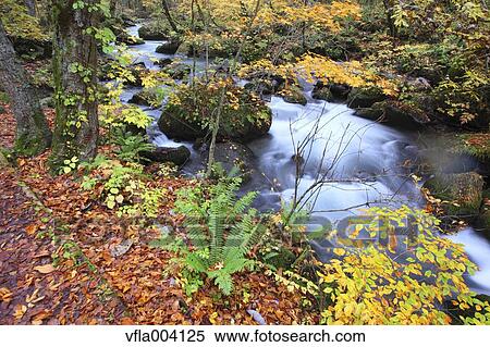 Stock Photography - Autumn colors, Aomori Prefecture, Japan. Fotosearch