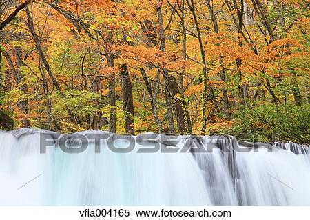 Autumn colors, Aomori Prefecture, Japan View Large Photo Image Stock Photography - Autumn colors, Aomori Prefecture, Japan. Fotosearch