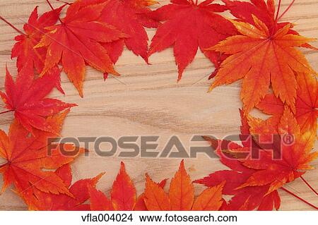 Autumn leaves View Large Photo Image Picture - Autumn leaves. Fotosearch