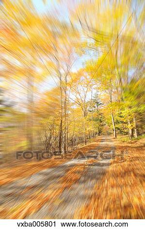 Autumn leaves View Large Photo Image Stock Image - Autumn leaves. Fotosearch