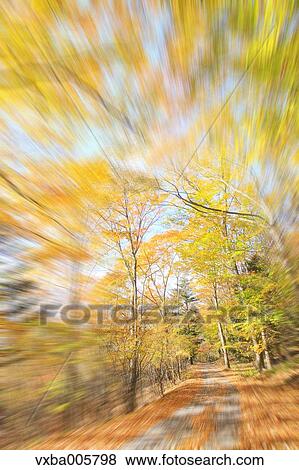 Autumn leaves View Large Photo Image Stock Photo - Autumn leaves. Fotosearch