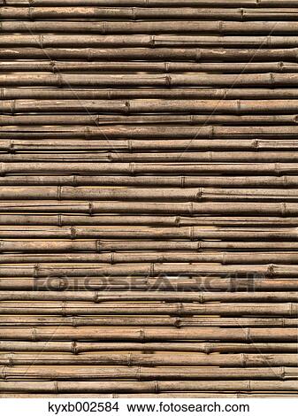 Picture - Bamboo Fence. Fotosearch