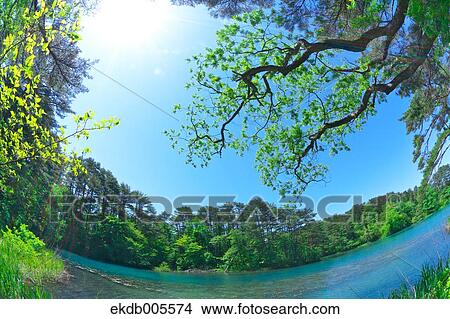 Picture - Bandai Asahi National Park, Fukushima Prefecture, Japan. Fotosearch