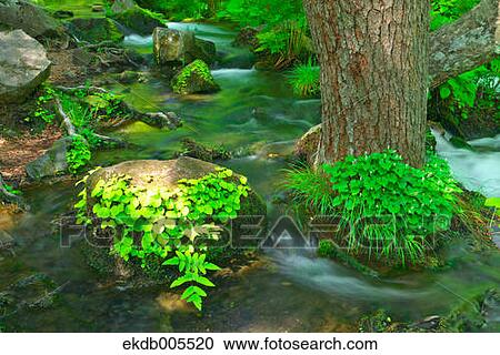 Bandai Asahi National Park, Fukushima Prefecture, Japan View Large Photo Image Stock Image - Bandai Asahi National Park, Fukushima Prefecture, Japan. Fotosearch