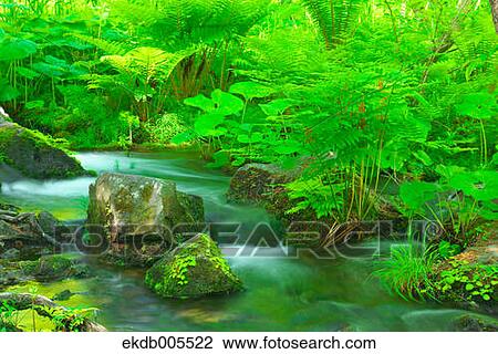 Bandai Asahi National Park, Fukushima Prefecture, Japan View Large Photo Image Stock Image - Bandai Asahi National Park, Fukushima Prefecture, Japan. Fotosearch