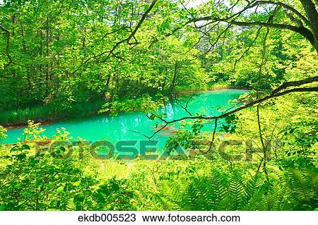 Bandai Asahi National Park, Fukushima Prefecture, Japan View Large Photo Image Stock Image - Bandai Asahi National Park, Fukushima Prefecture, Japan. Fotosearch