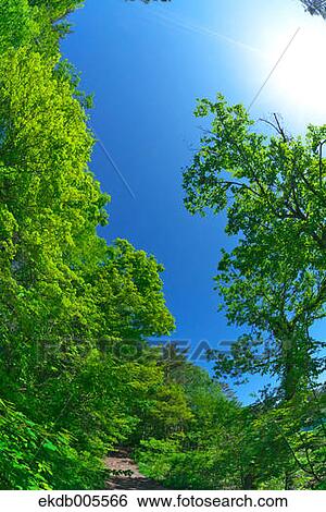 Bandai Asahi National Park, Fukushima Prefecture, Japan View Large Photo Image Stock Photograph - Bandai Asahi National Park, Fukushima Prefecture, Japan. Fotosearch