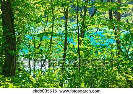 Bandai Asahi National Park, Fukushima Prefecture, Japan View Large Photo Image Stock Photography - Bandai Asahi National Park, Fukushima Prefecture, Japan. Fotosearch