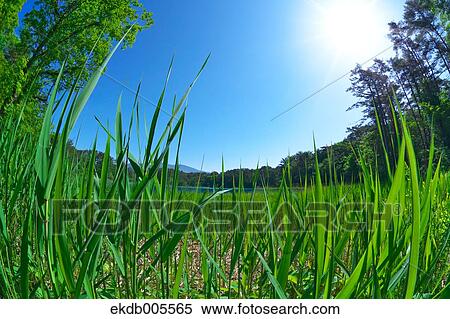 Stock Photography - Bandai Asahi National Park, Fukushima Prefecture, Japan. Fotosearch
