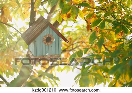 Bird House View Large Photo Image Stock Image - Bird House. Fotosearch