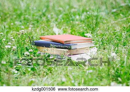 Books on grassland View Large Photo Image Stock Photograph - Books on grassland. Fotosearch