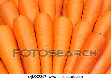 Stock Photo - Carrots. Fotosearch