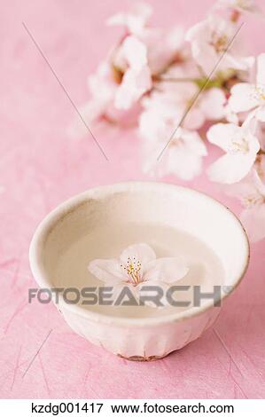 Cherry blossom floating in a cup View Large Photo Image Stock Photo - Cherry blossom floating in a cup. Fotosearch