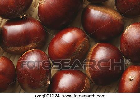 Picture - Chestnuts. Fotosearch