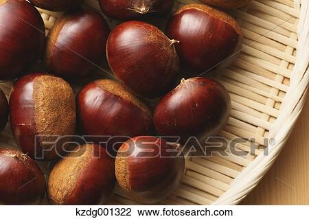 Stock Image - Chestnuts. Fotosearch
