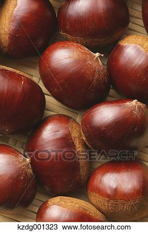 Chestnuts View Large Photo Image Stock Image - Chestnuts. Fotosearch