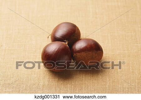 Stock Image - Chestnuts. Fotosearch
