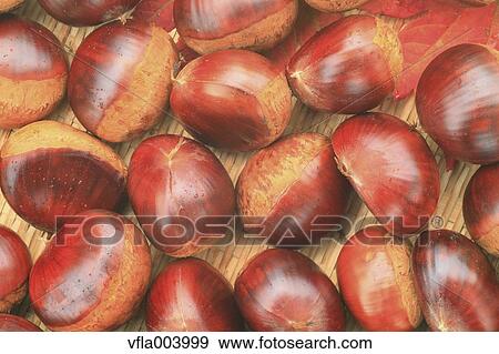 Chestnuts View Large Photo Image Stock Photo - Chestnuts. Fotosearch