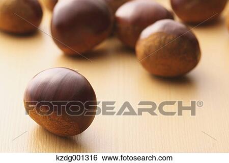 Stock Photograph - Chestnuts. Fotosearch