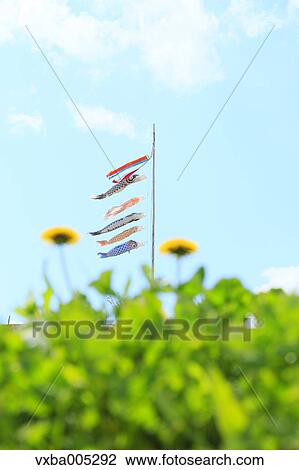 Dandelions View Large Photo Image Stock Image - Dandelions. Fotosearch