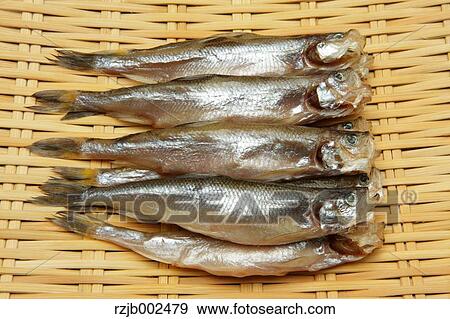 Stock Photo - Dried Shishamo. Fotosearch