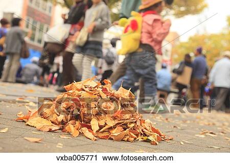 Stock Image - Fallen leaves on the road. Fotosearch