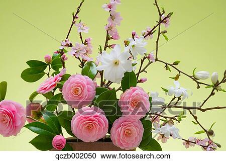 Flower Bouquet View Large Photo Image Stock Image - Flower Bouquet. Fotosearch