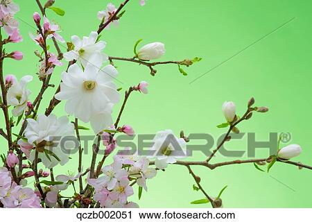 Flower Bouquet View Large Photo Image Stock Image - Flower Bouquet. Fotosearch