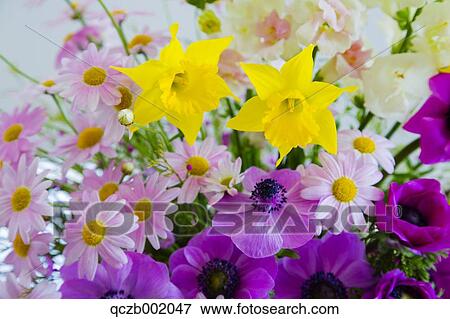 Flower Bouquet View Large Photo Image Stock Photo - Flower Bouquet. Fotosearch