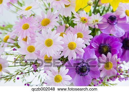 Flower Bouquet View Large Photo Image Stock Photo - Flower Bouquet. Fotosearch
