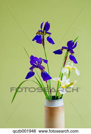 Flower Bouquet View Large Photo Image Stock Photograph - Flower Bouquet. Fotosearch