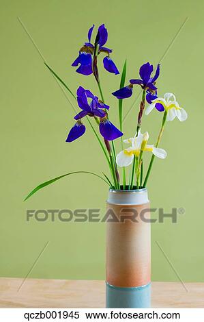 Stock Photography - Flower Bouquet. Fotosearch