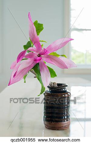Flower Bouquet View Large Photo Image Stock Photography - Flower Bouquet. Fotosearch