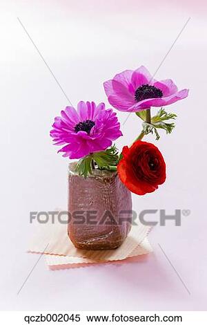 Flower Bouquet View Large Photo Image Stock Photography - Flower Bouquet. Fotosearch