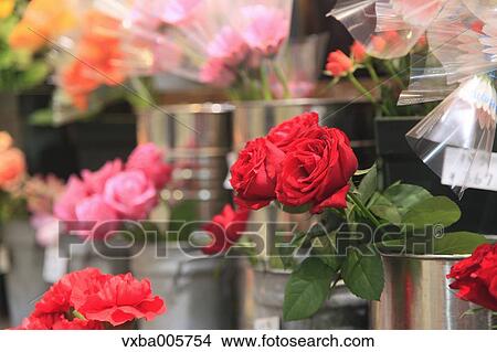 Flower Shop View Large Photo Image Picture - Flower Shop. Fotosearch