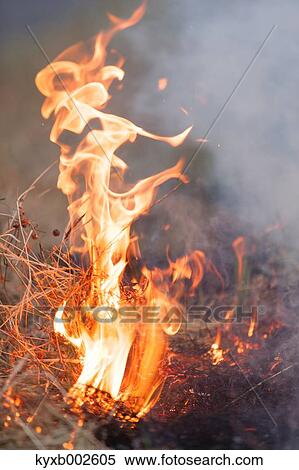 Stock Photography - Grass burning. Fotosearch