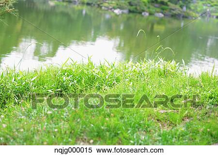 Grassland View Large Photo Image Stock Photography - Grassland. Fotosearch