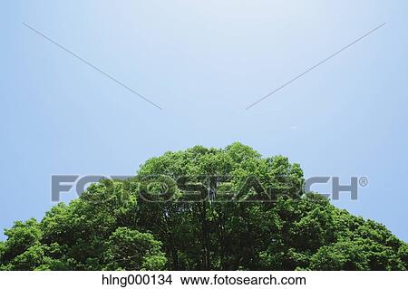 Greenery View Large Photo Image Picture - Greenery. Fotosearch