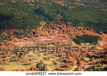Gunma Prefecture, Japan View Large Photo Image Stock Photo - Gunma Prefecture, Japan. Fotosearch