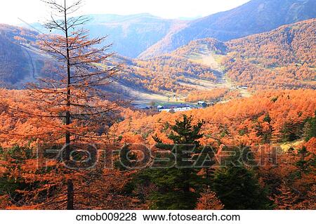 Gunma Prefecture, Japan View Large Photo Image Stock Photo - Gunma Prefecture, Japan. Fotosearch