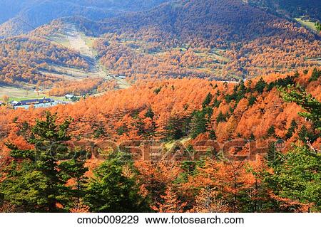 Gunma Prefecture, Japan View Large Photo Image Stock Photo - Gunma Prefecture, Japan. Fotosearch
